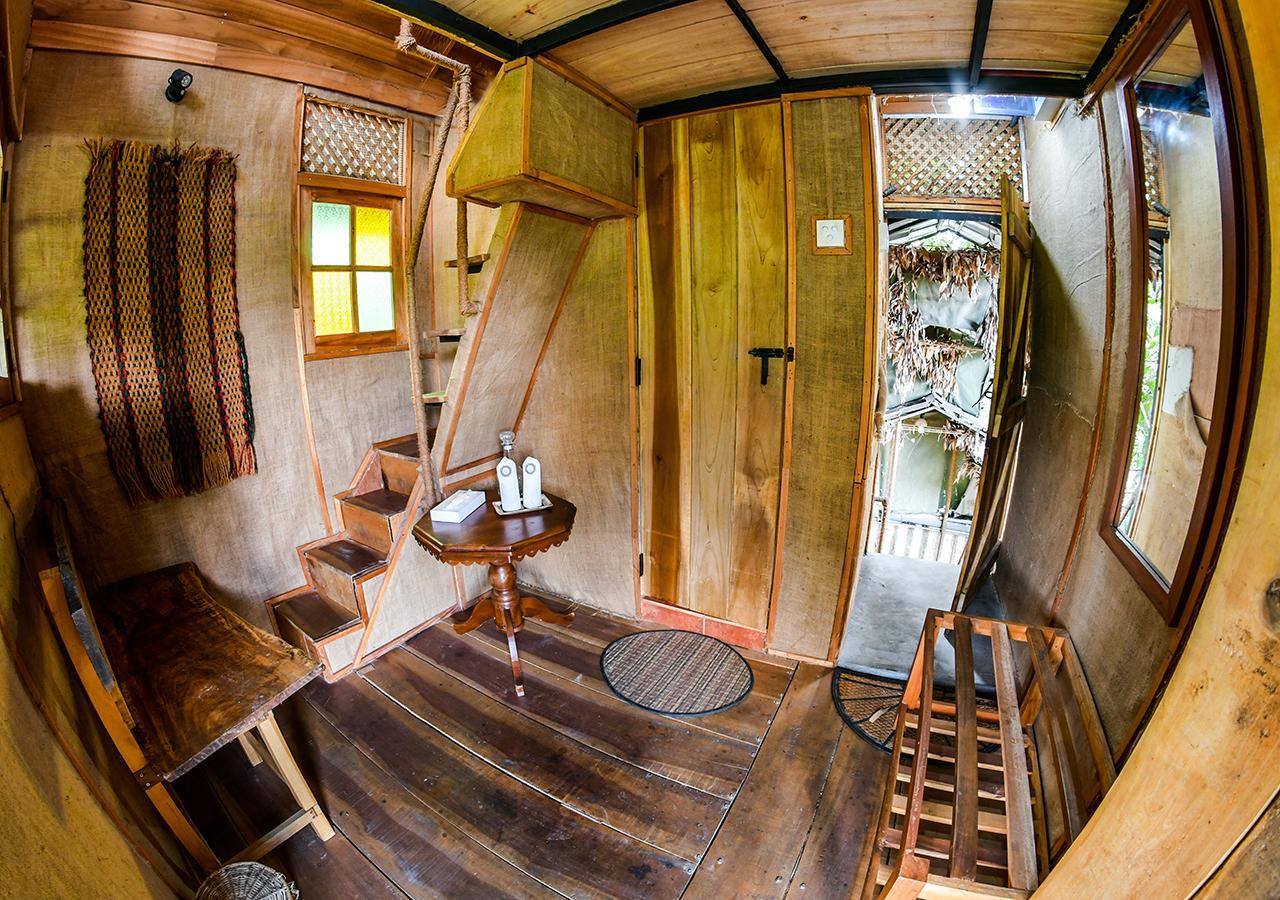 Tree House River View,669855021:JPEG