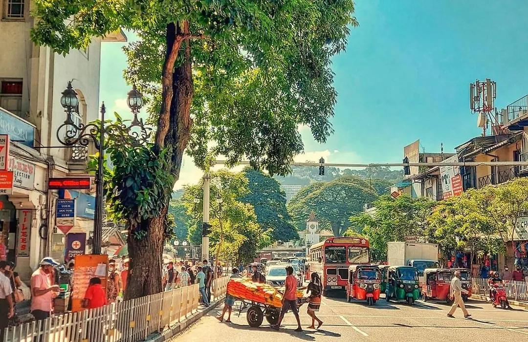 Mount Blue Kandy-1