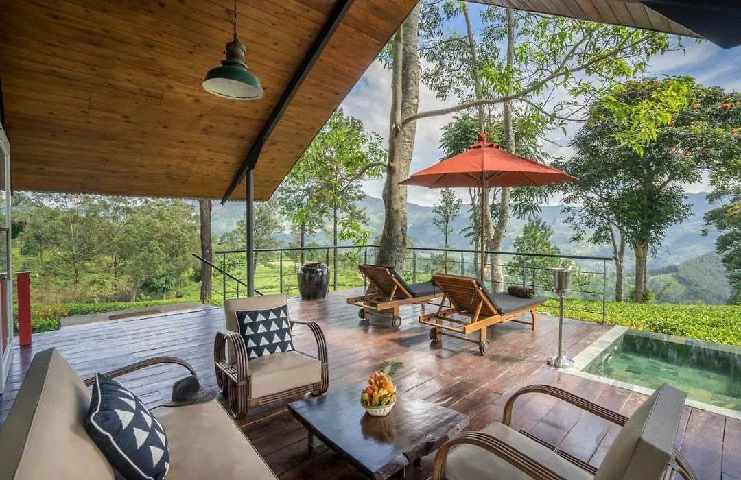 Madulkelle Tea And Eco Lodge-1
