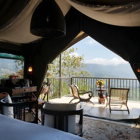 Madulkelle Tea And Eco Lodge-2